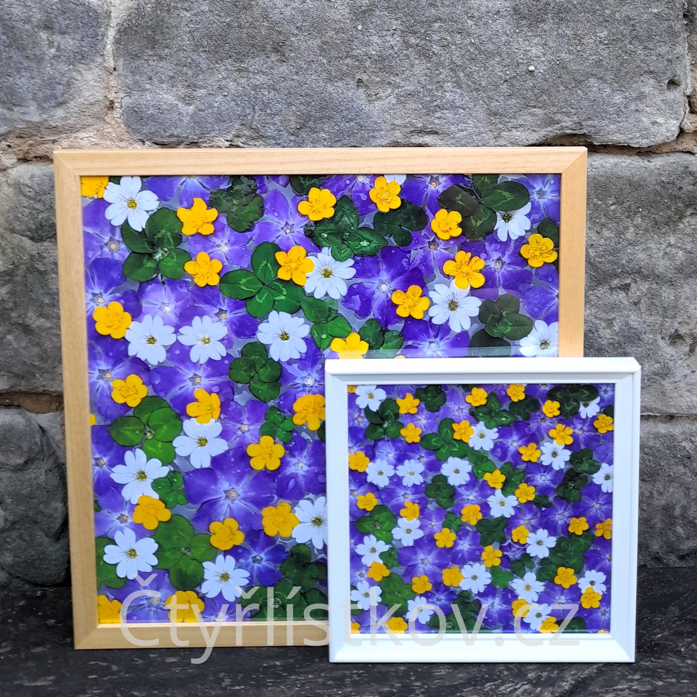 Fotografie 40x40cm a 25x25cm se čtyřlístky, barvínkem, pryskyřníkem a rožcem